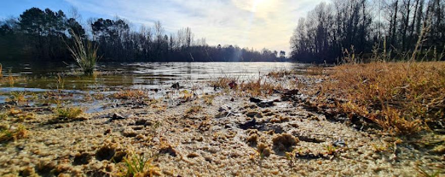 Lacs du Moulin Blanc