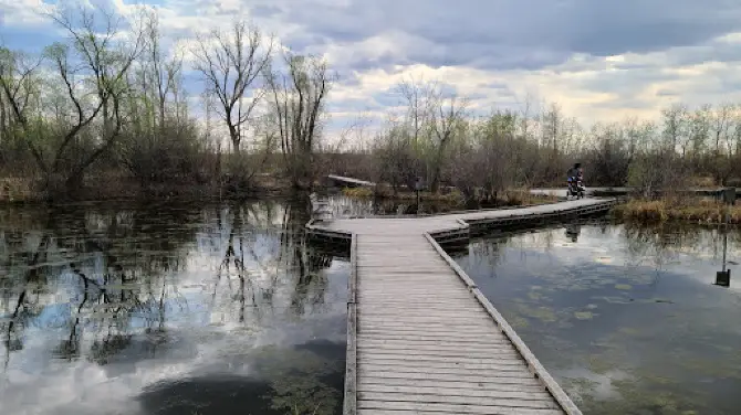 Wetland Boardwalk Trail