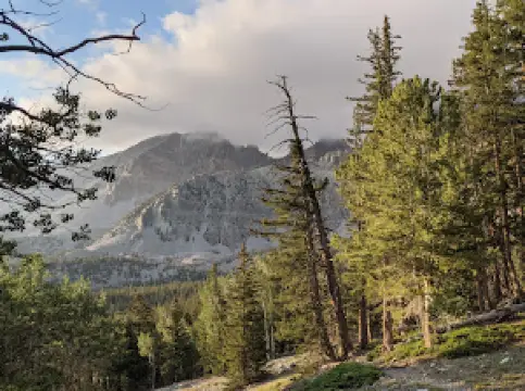 Upper Lehman Creek Campground