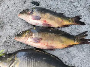 Krkh Krasnopresnenskiy Prud