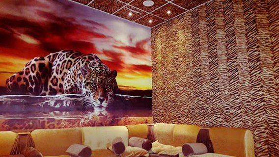 Classical arts entertainment