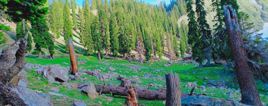Razika Valley