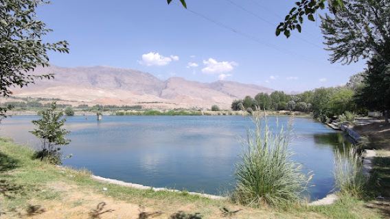 Park S Ozerom