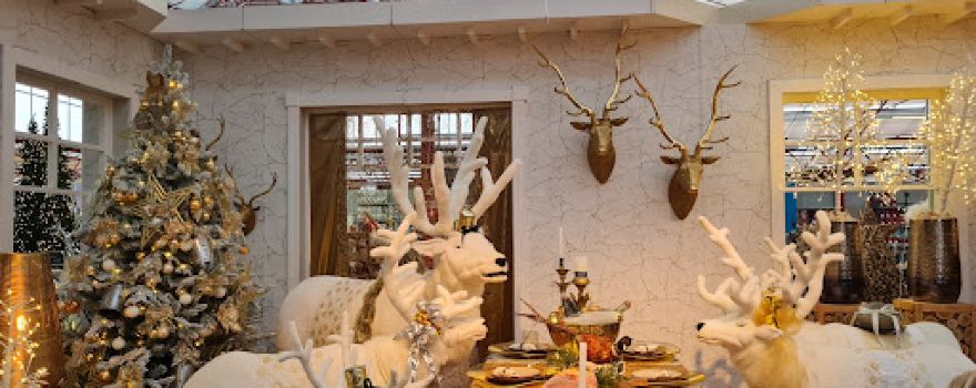 Wolters garden center