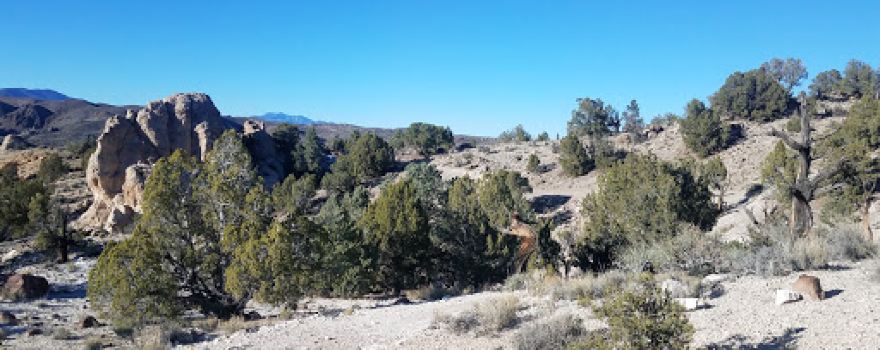 Basin and Range National Monument