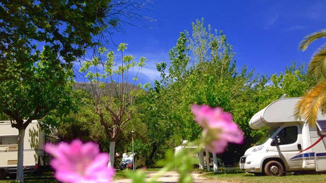 Camping Vassiliki Beach