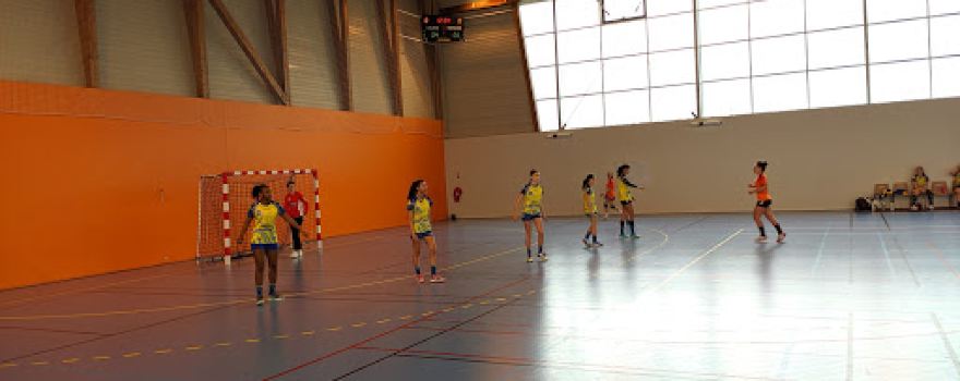 HBCPJV ( Handball Club Pins-justaret Villate)