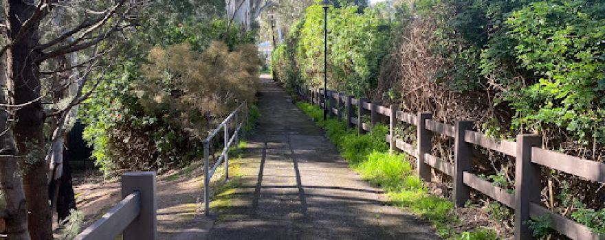 Willowbridge Reserve