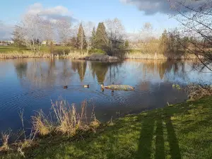 Cloverdale Youth Park