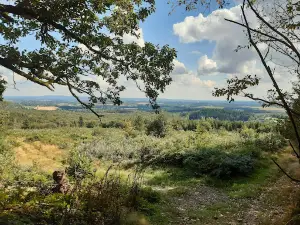 Ecouves National Forest