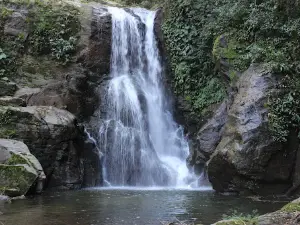 Reserva Biológica do Tinguá