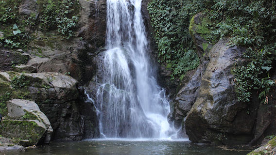 Reserva Biológica do Tinguá