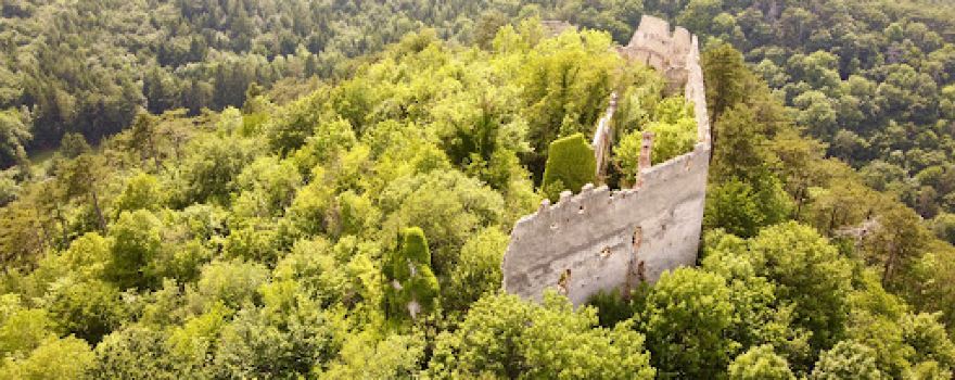 Burgruine Starhemberg