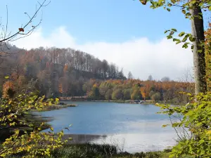 Kerem Ali Plateau