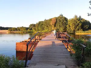 Lepel Park