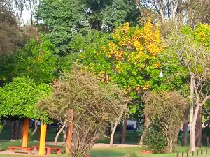 Lavalleja Park