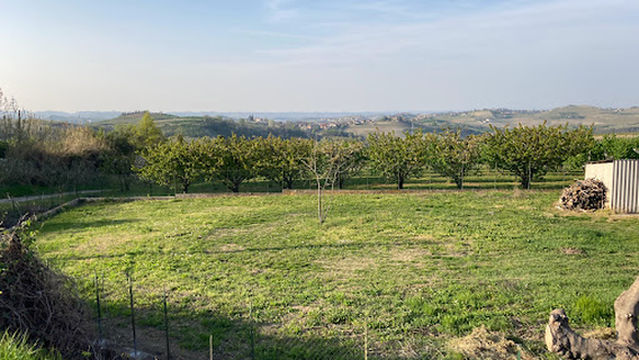 A.s.d Roerolanze calcio