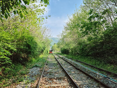 Gyeonggang Railbike