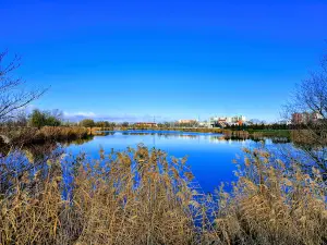 Kings' Park