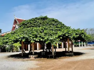 Wat Ban Rai Huai Phi