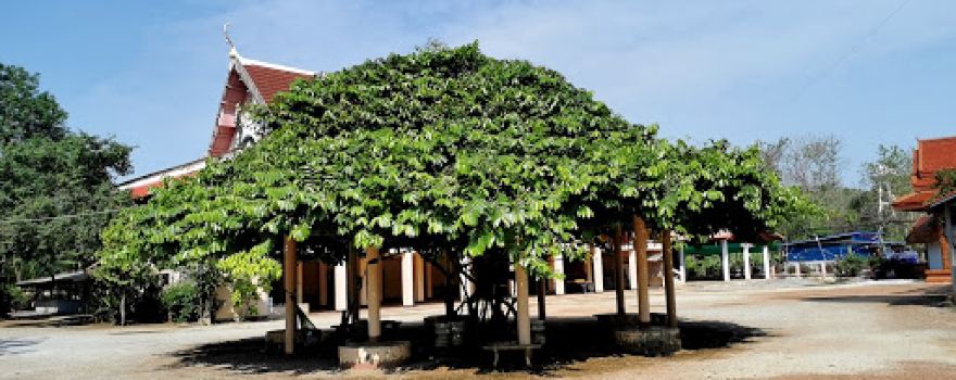 Wat Ban Rai Huai Phi