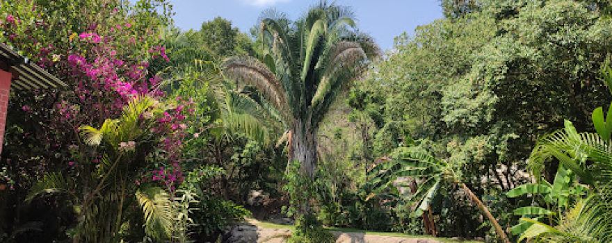 Rancho " El Milagrito"