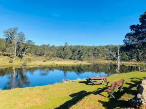 Cradle Mountain Fishery & Camping