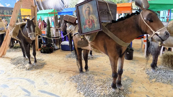 Museo Fiestas Del Maíz