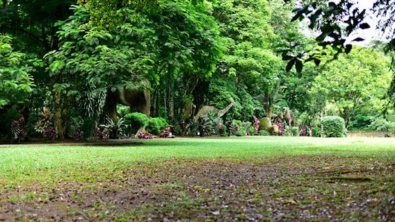 MAGIG PLAYLAND