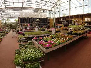 Intratuin Emmen