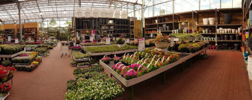 Intratuin Emmen