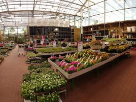 Intratuin Emmen