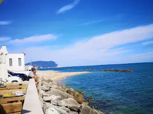 Spiaggia con accesso consentito ai cani