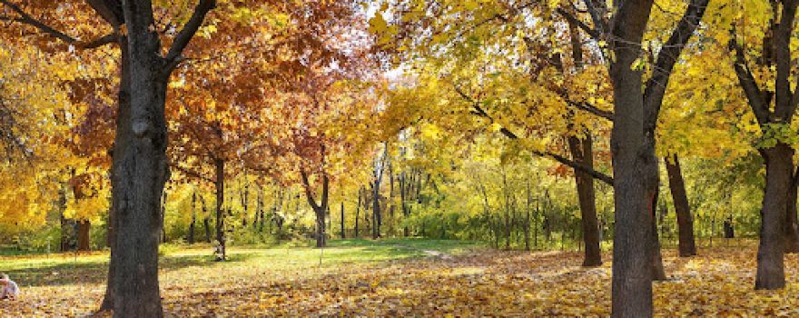Rose Valley Park