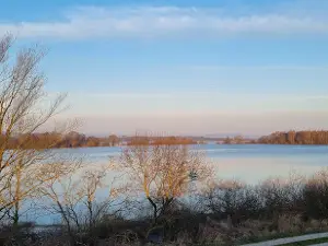 Polder I im Hochwasserrückhaltebecken Salzderhelden