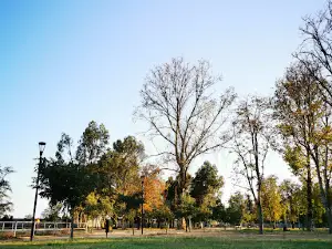 Parque Abel Bouchon