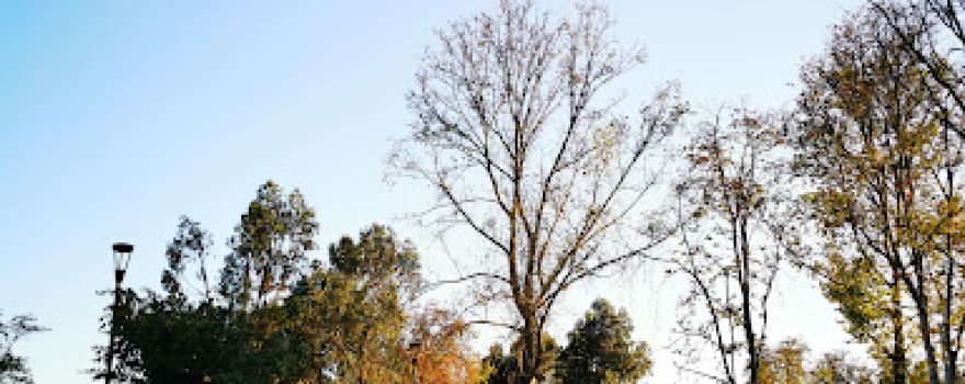 Parque Abel Bouchon