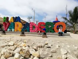 Playa Delfín