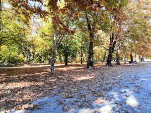 “Maritza” Park