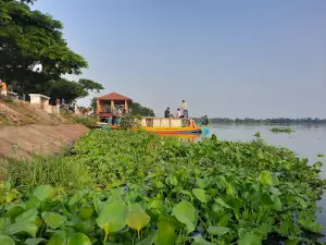 চাপড়াবিল - বাসুলিয়া, টাঙ্গাইল- Chaprabil - Basulia, Tangail