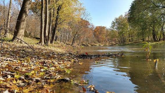 Wells County