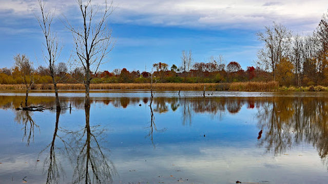 Celery Bog Nature Area