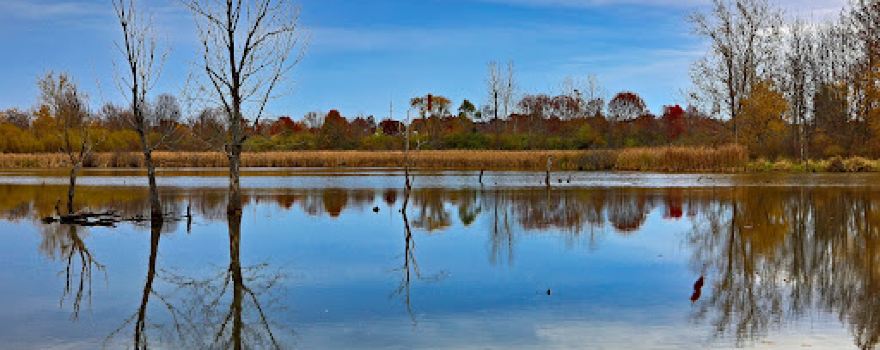 Celery Bog Nature Area