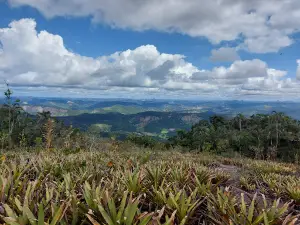 Pedra do Elefante (Pedra do Bidó)