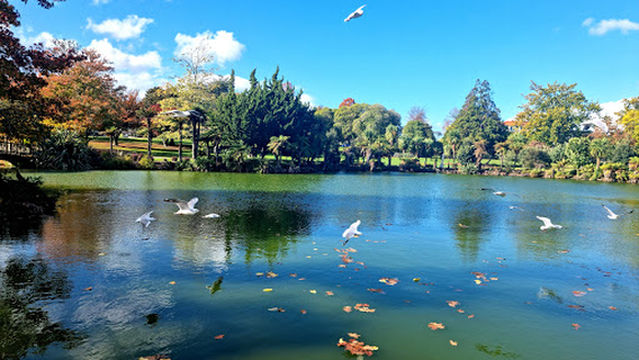 Kuirau Park - Mud Pools