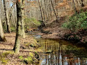 Mammoth Cave Horse Camp