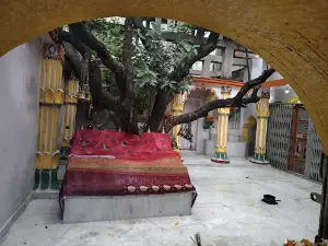 Amawa Ki Sati Mai