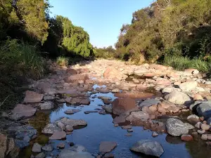 Camping municipal Papagayos