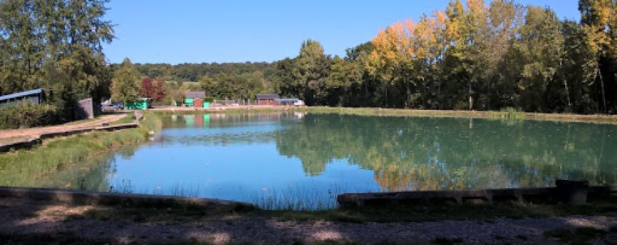 L'Etang des Bruyères