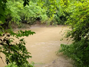Rock Springs Park